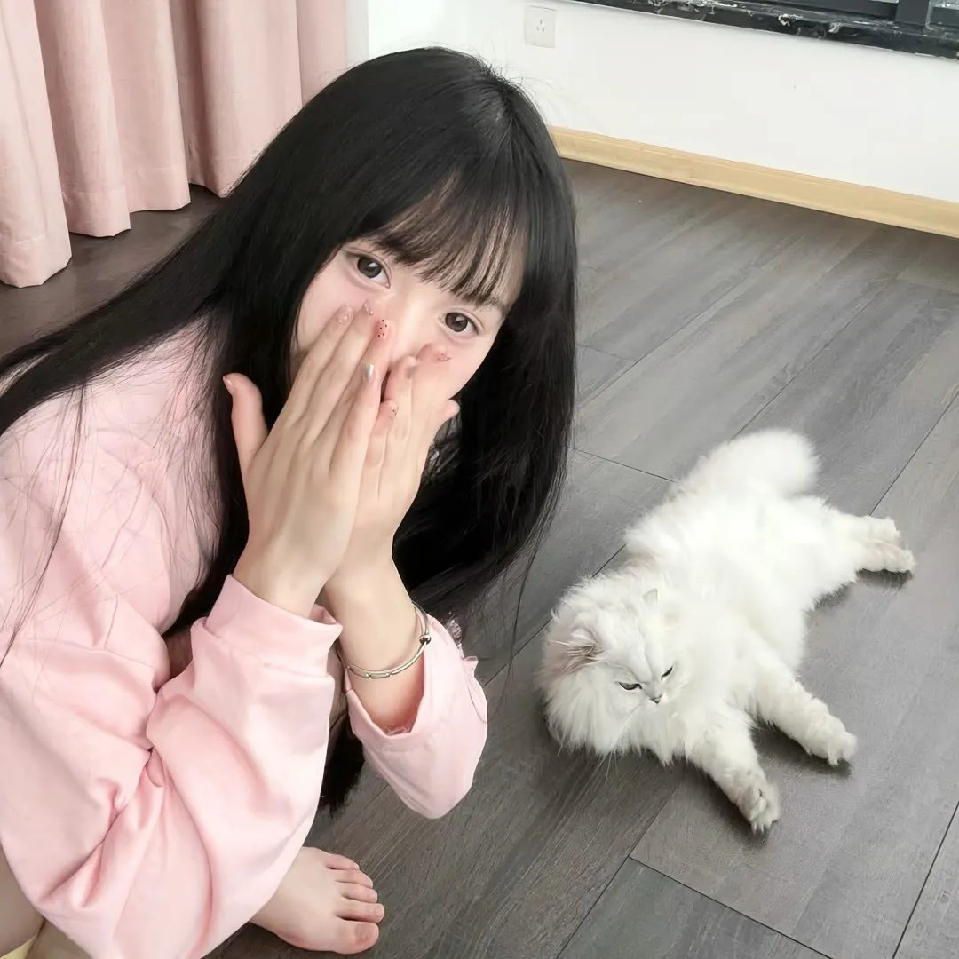 12个温柔的日本人